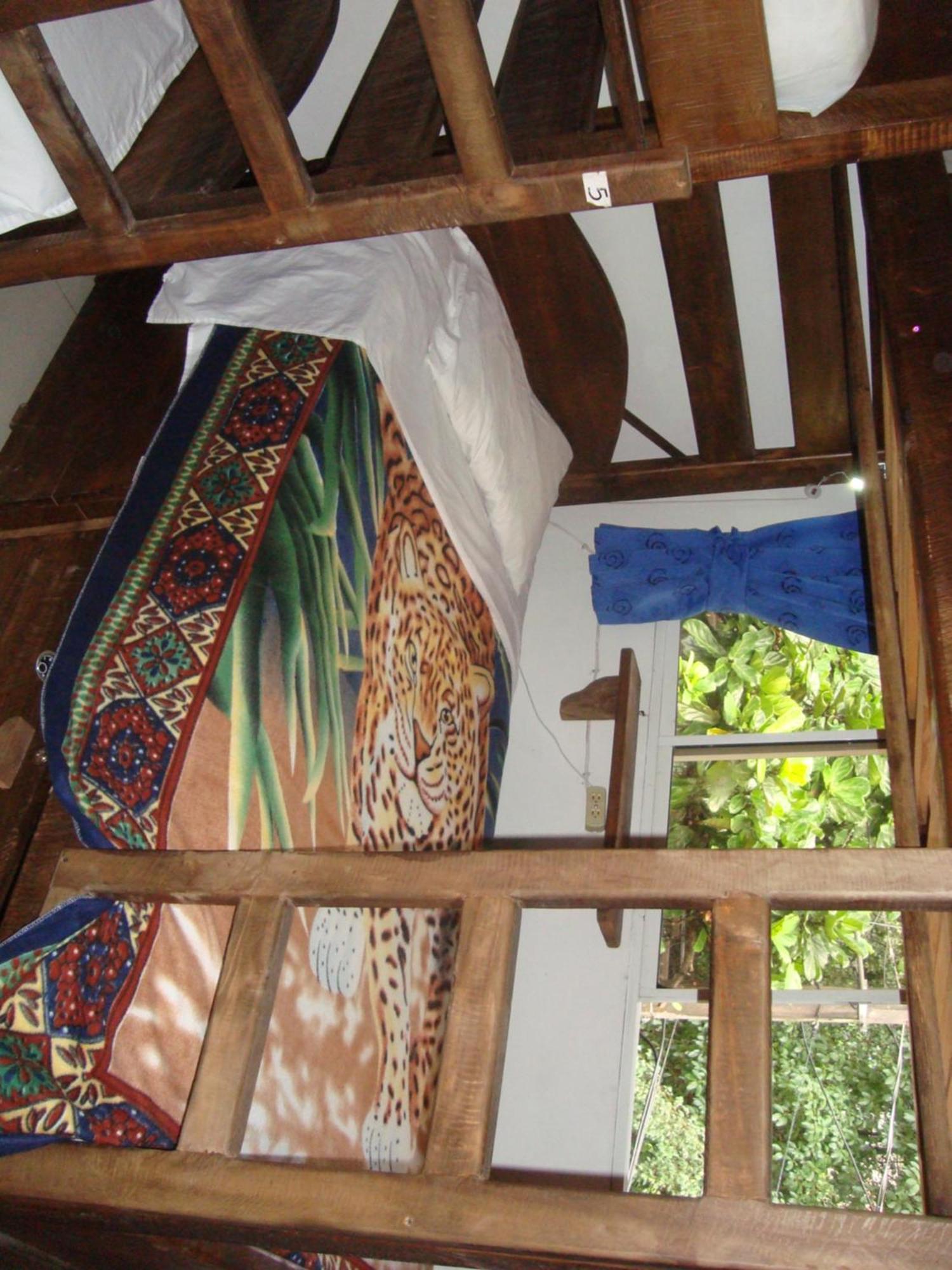 Arcadia Hostel Medellín Pokój zdjęcie